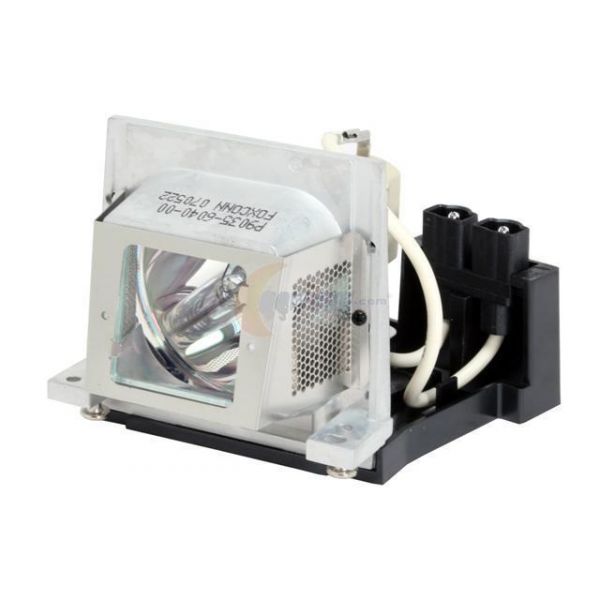 LAMP (RLC-079)