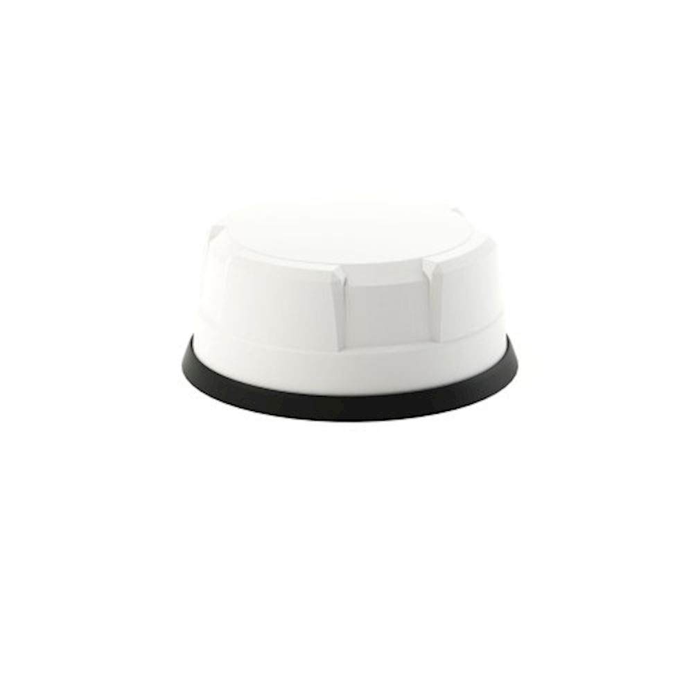 Panorama Antennas LP-IN2443 - Antenna - radome - cellular - 9 dBi - omnidirectional - panel mountable (LP-IN2443-W-LC)