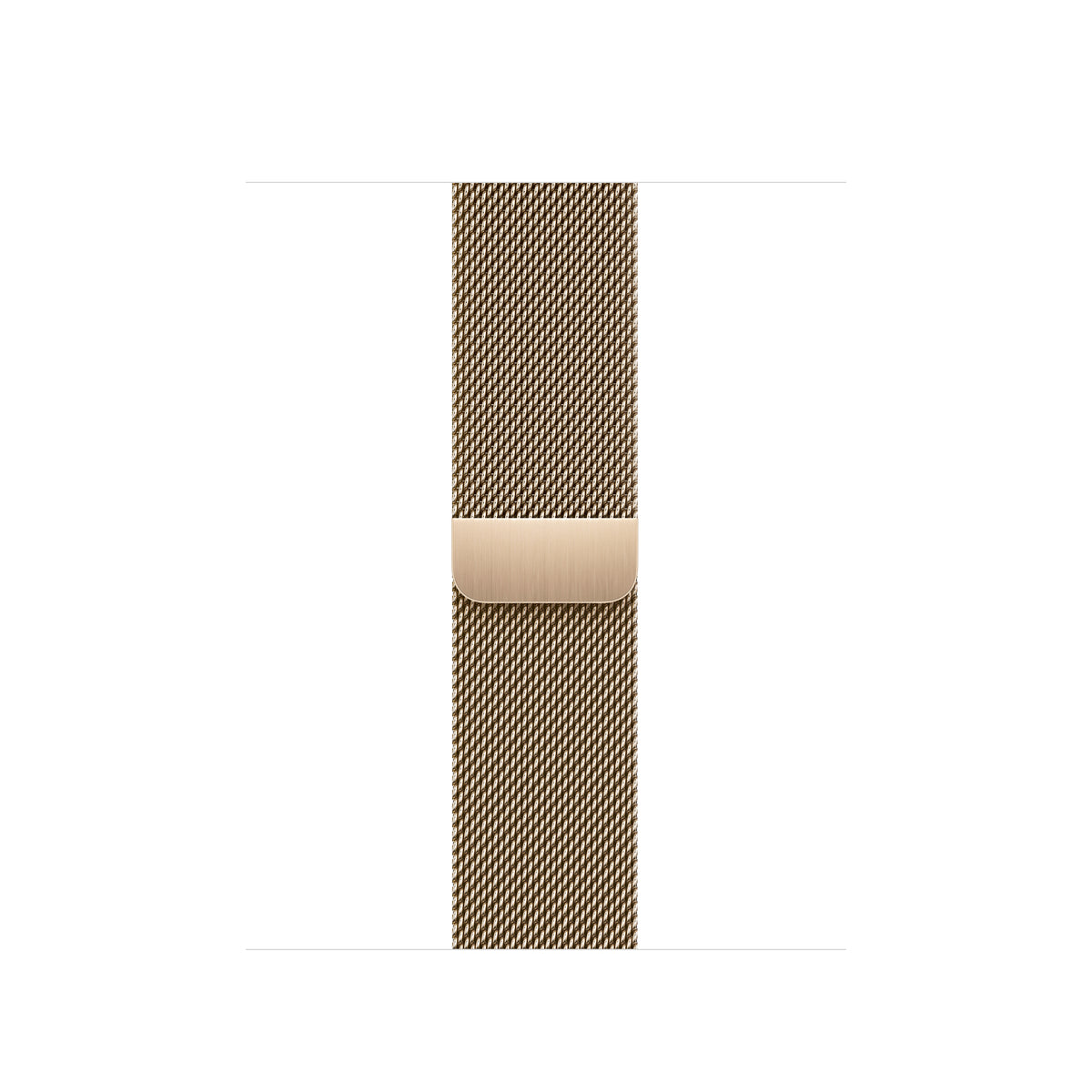 Apple - Correa para reloj inteligente - 130-180 mm - Dorado - para reloj (38 mm, 40 mm, 41 mm)
