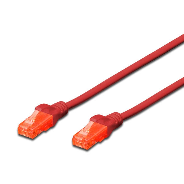 ARNES DIGITUS CAT6 UTP LSZH 0.5MT ROJO