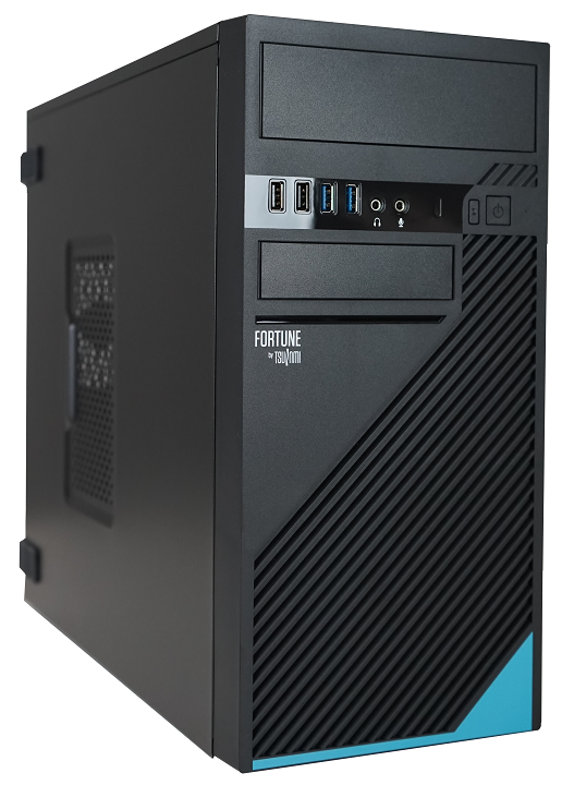 DT TSUNAMI FORTUNE I7-11700 16GB NVME500GB DVDRW Win11Pro 3YrGar