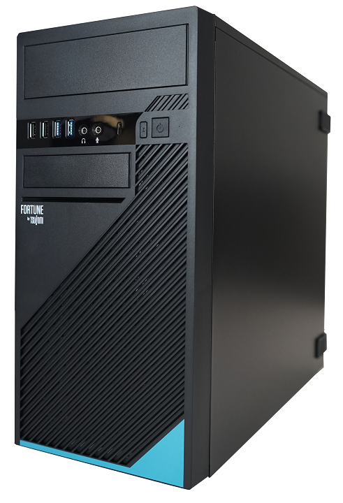 DT TSUNAMI FORTUNE I7-11700 16GB NVME500GB DVDRW Win11Pro 3YrGar