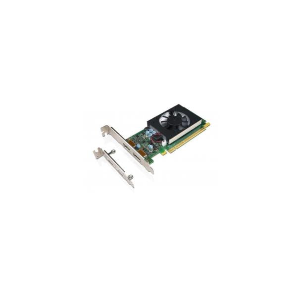 NVIDIA GeForce GT730 - Cartão gráfico - GF GT 730 - 2 GB GDDR5 - PCIe 2.0 x8 baixo perfil - DisplayPort - para ThinkCentre M710, M715, M720, M910, M920, V530-15