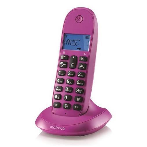 INHALEMB DECT C1001L VIOLETA