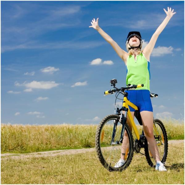 UNIVERSAL BICI HANDLE ACCESSORY