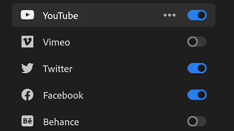 Premiere Pro - Plan anual