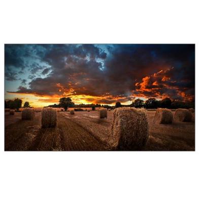 SAMSUNG DISPLAY PROFISSIONAL LFD 55 VM55B-U FH -500 cd 24/7