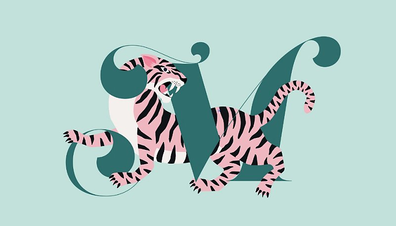 Ilustrador - Plan anual