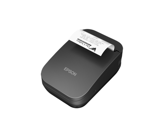 EPSON TM-P80II AC (132): PRNT