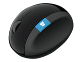 Microsoft Sculpt Ergonomic Mouse - Mouse - 7 buttons - wireless - 2.4 GHz - USB wireless receiver (L6V-00003)