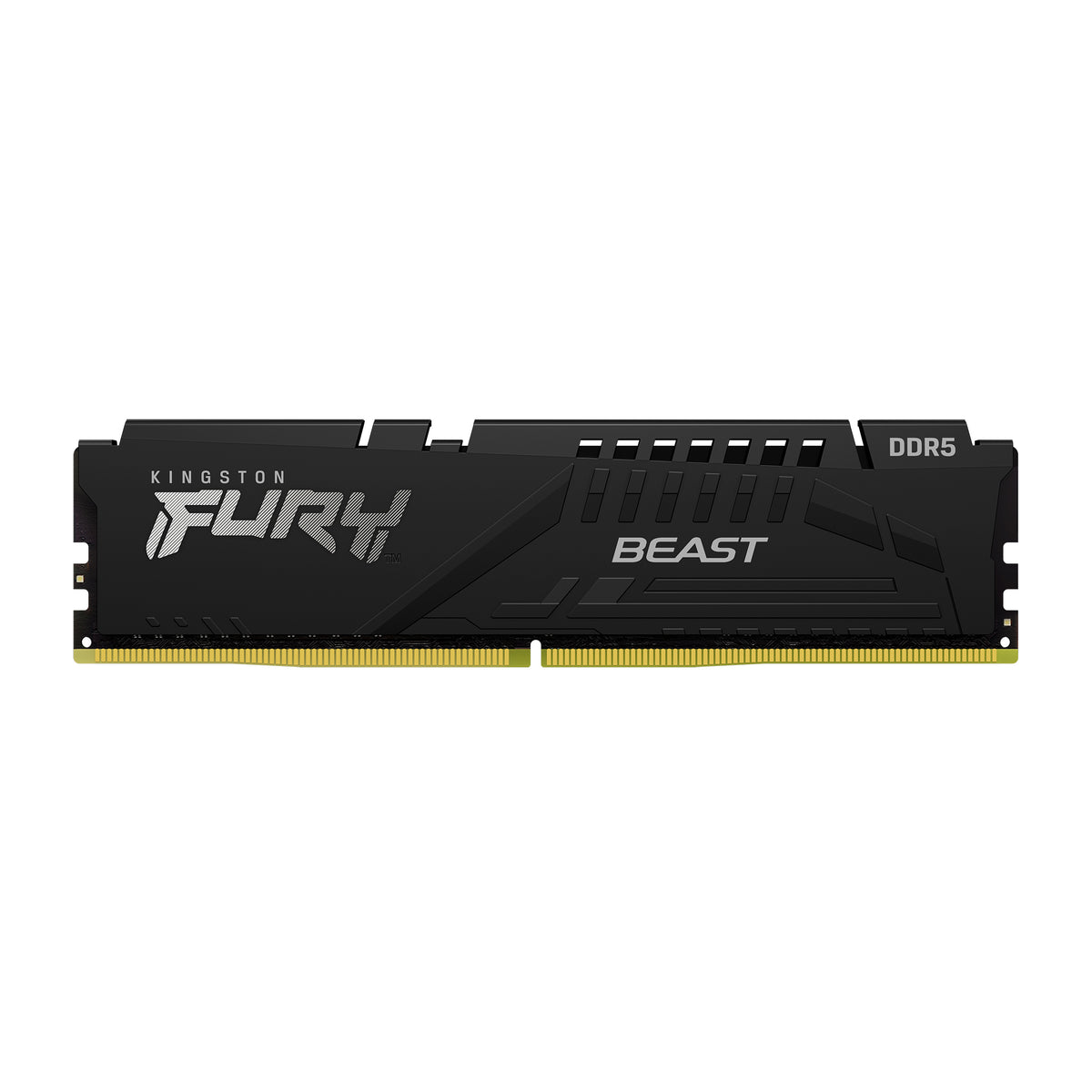 Kingston FURY Beast - DDR5 - module - 16 GB - 288-pin DIMM - 6000 MHz / PC5-48000 - CL36 - 1.35 V - unbuffered - on-die ECC - black