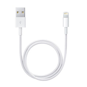 CABLE APPLE RAYO A USB 0.5M