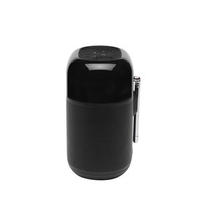 Radio portátil JBL Bluetooth DAB/DAB+/FM con 5 botones de memoria y LCD, resistente al agua - negro (TunnerXL)