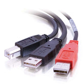 C2G "Y" Cable - USB Cable - USB Type B (M) to USB, USB (Power Only) (M) - USB 2.0 - molded