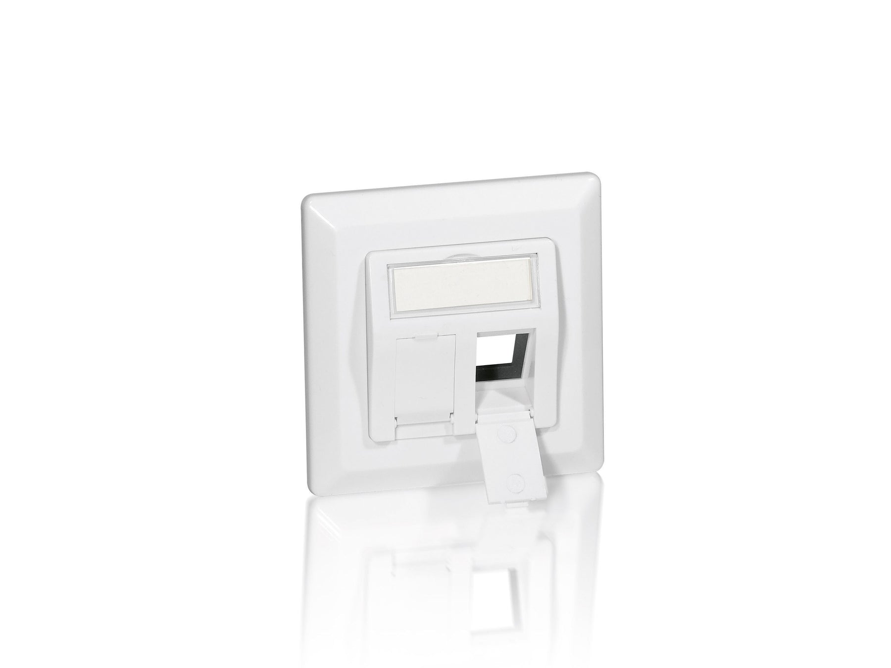 EQUIP Módulo de pared RJ45 50x50, para 2x RJ45 Keystone, base metal, marco blanco