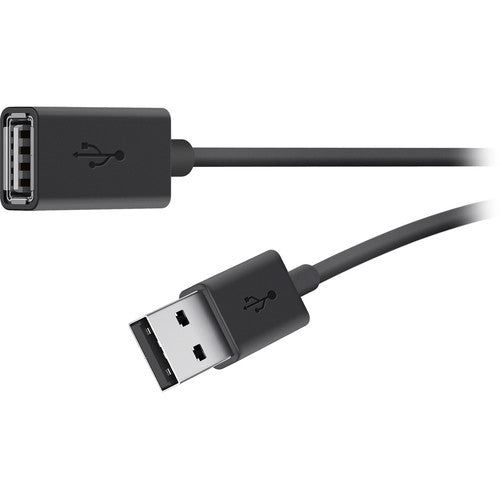 Belkin - Cable de extensión USB - USB (M) a USB (F) - USB 2.0 - 1,8 m