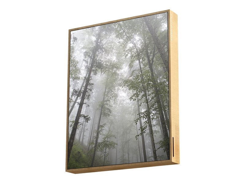 Energy Frame Forest - Altavoz - inalámbrico - Bluetooth - 50 Watt