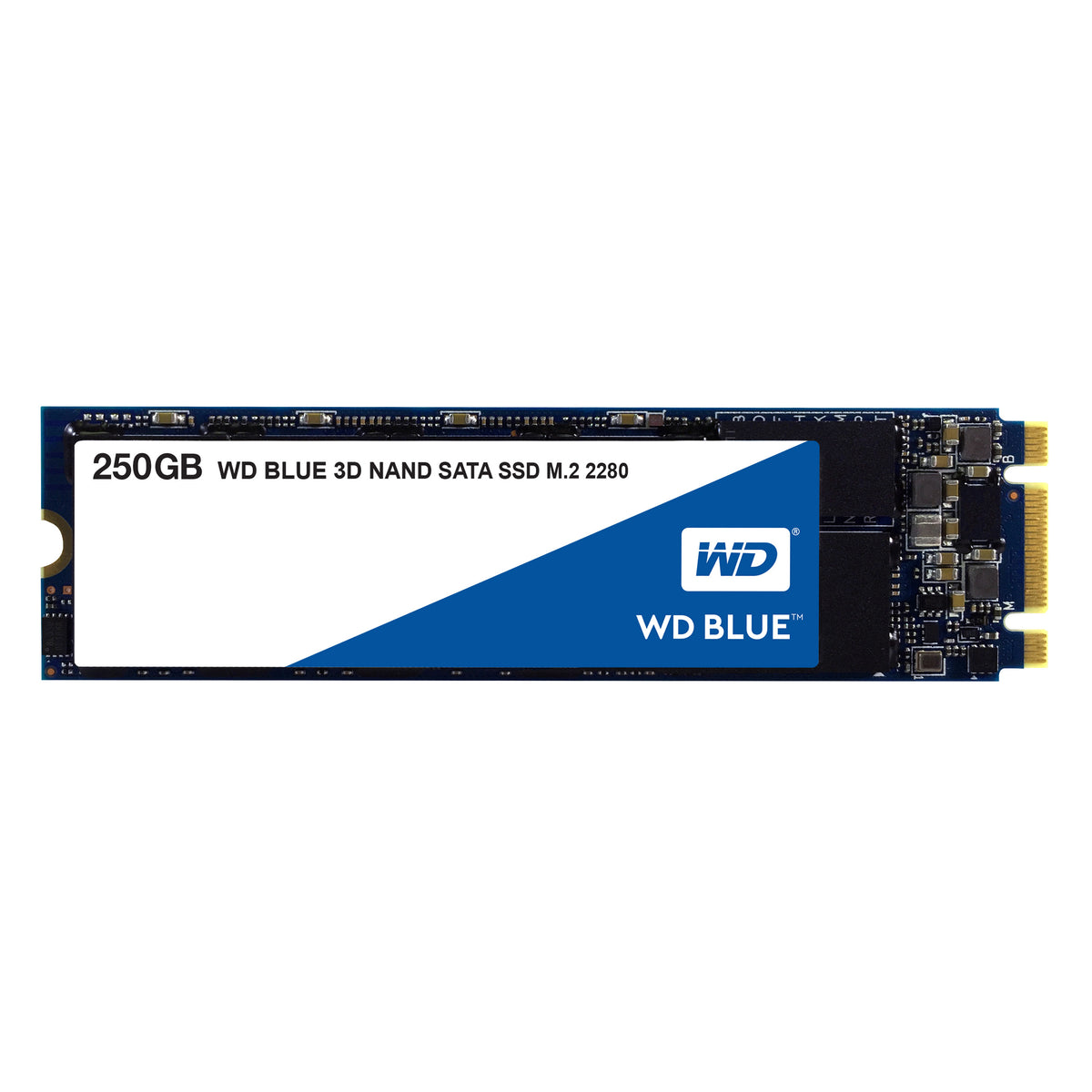 WD Blue 3D NAND SATA SSD WDS250G2B0B - SSD - 250 GB - interna - M.2 2280 - SATA 6Gb/s