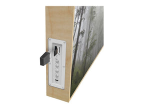 Energy Frame Forest - Altifalante - sem fios - Bluetooth - 50 Watt