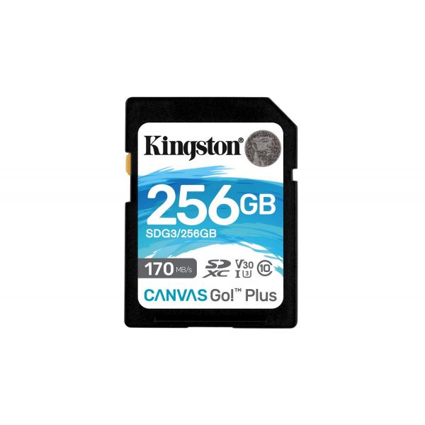 256GB SD CANVAS GO PLUS 170R C10 (SDG3/256GB)