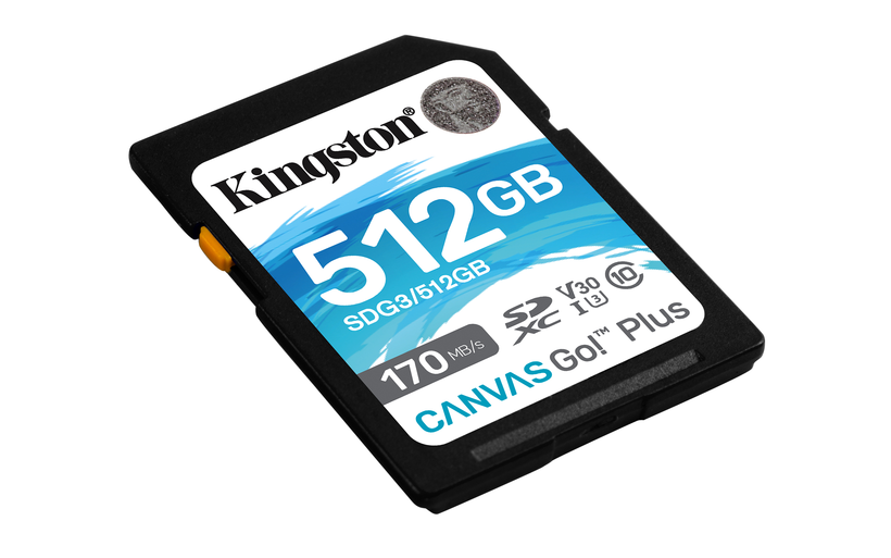 512GB SD CANVAS GO PLUS 170R C10 (SDG3/512GB)