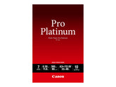 Canon Photo Paper Pro Platinum - A3 plus (329 x 423 mm) - 300 g/m² - 10 hoja(s) papel fotográfico - para PIXMA iP8720, IX6820, PRO-1, PRO-10, PRO-100, Pro9000, Pro9000 Mark II, Pro9500 (2768B018)