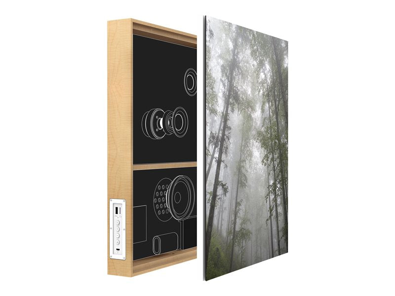 Energy Frame Forest - Altifalante - sem fios - Bluetooth - 50 Watt