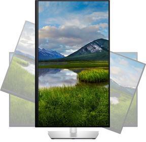 Dell P3223QE - LED Monitor - 31.5" - 3840 x 2160 4K @ 60 Hz - IPS - 350 cd/m² - 1000:1 - 5 ms - HDMI, DisplayPort, USB-C - with 3 years Advanced Exchange Service - Disti SNS