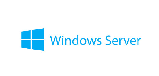 Microsoft Windows Server 2019 - License - 5 User CAL - OEM - for ThinkSystem SR250, SR530, SR590, SR630, SR645, SR650, SR665, ST250, ST50, ST550