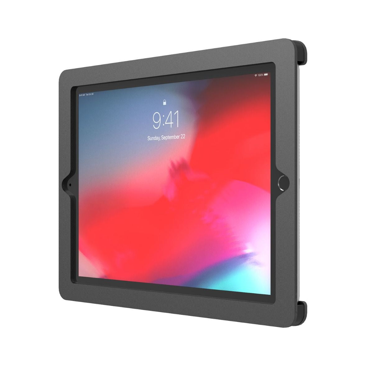 Compulocks Axis iPad 10.2-inch POS VESA Enclosure - Mounting Kit (Ground Stand, Housing, Tamper Tamper Screw Kit) - For Tablet - Black - Screen Size: 10.2" - For Apple 10.2-inch iPad (7th Gen, 8th Gen) )