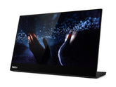 Lenovo ThinkVision M14t - LED Display - 14" - laptop - touch screen - 1920 x 1080 Full HD (1080p) @ 60 Hz - 300 cd/m² - 700:1 - 6 ms - 2xUSB-C - glossy black