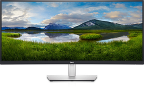 Dell P3421W - Monitor LED - curvo - 34,14" - 3440 x 1440 WQHD @ 60 Hz - IPS - 300 cd/m² - 1000:1 - 5 ms - HDMI, DisplayPort, USB-C - con 3 años de garantía básica de intercambio avanzado - para Latitud 54XX, 55XX, 7420, OptiPlex 30XX, precisión 3650, Vost