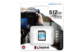 512GB SD CANVAS GO PLUS 170R C10 (SDG3/512GB)