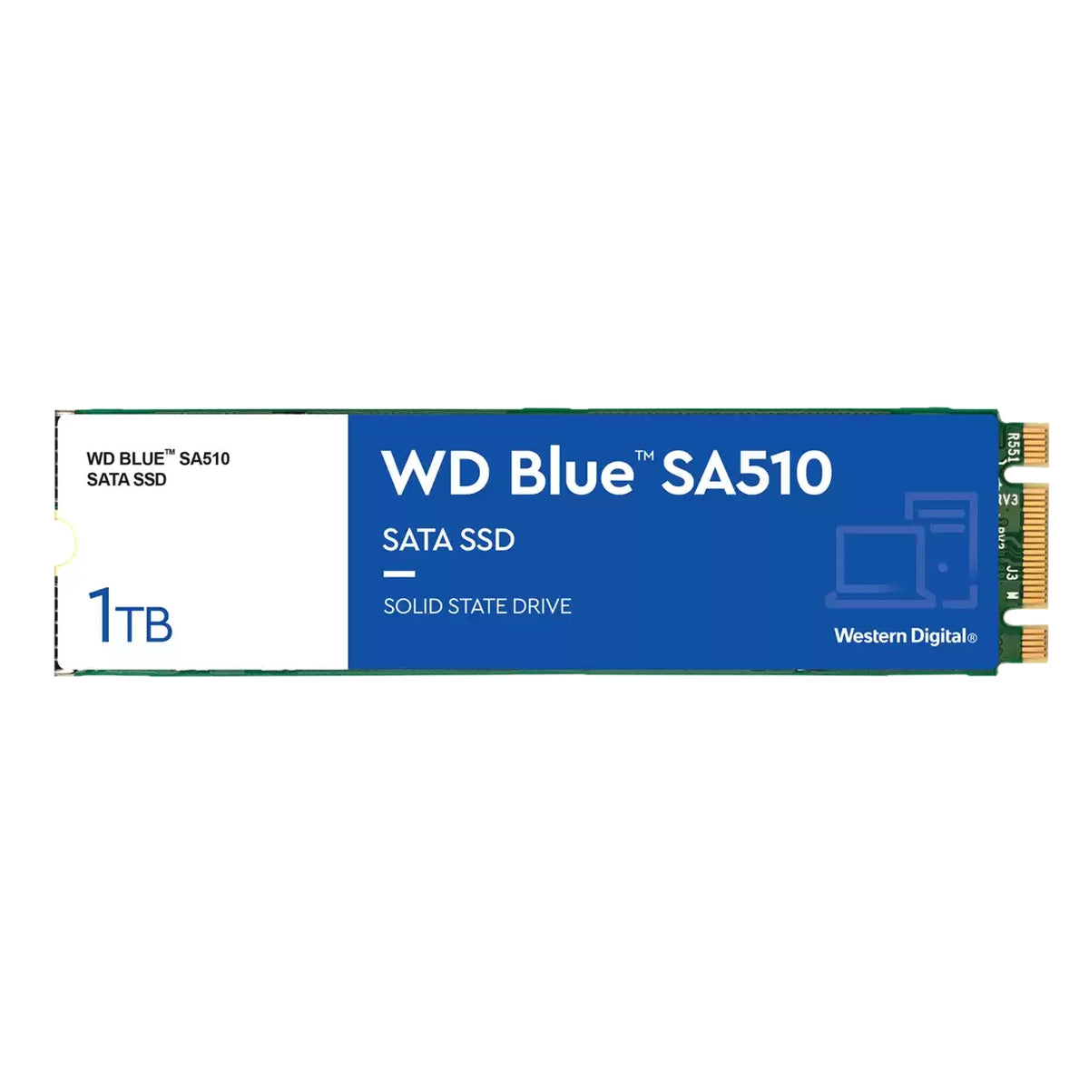 WD Blue SA510 WDS100T3B0B - SSD - 1 TB - interna - M.2 2280 - SATA 6Gb/s - azul