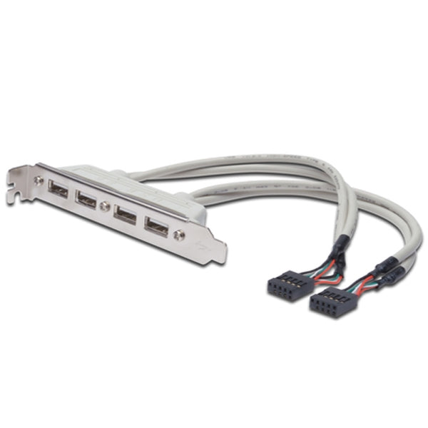 CABLE DIGITUS USB SLOT SOPORTE 4X TIPO A-2X10PIN IDC H/F 0.25M USB 2.0 GRIS