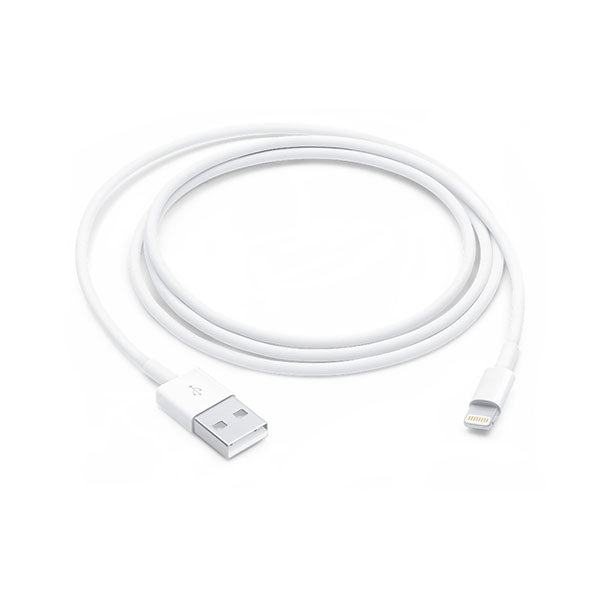 APPLE CABLE LIGHTNING TO USB 1 M