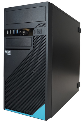 DT TSUNAMI FORTUNE I5-11400 8GB SSD512GB DVDRW Win11Pro 3YrGar