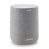 HARMAN KARDON COLUMN CITATION ONE GRAY