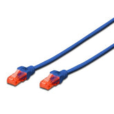 EWENT CHICOTE CAT6 UTP 0.5MT AZUL