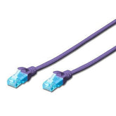 ARNES EWENT CAT5 UTP 3MT MORADO