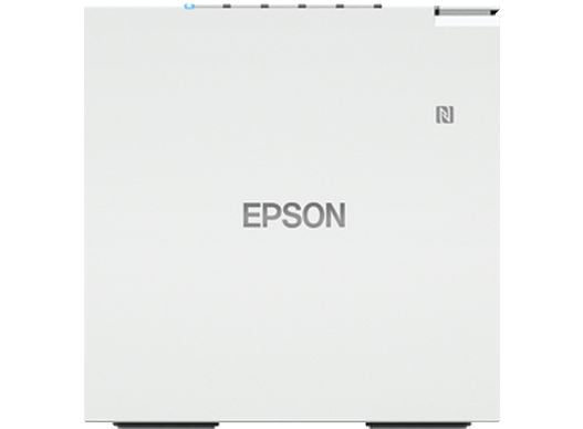 EPSON TM-M30III (111): STANDARDPRNT