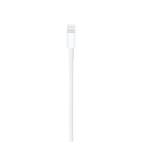 APPLE CABLE LIGHTNING TO USB 1 M