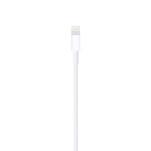 APPLE CABLE LIGHTNING TO USB 1 M