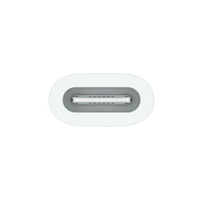 APPLE ADAPTADOR USB-C TO APPLE PENCIL