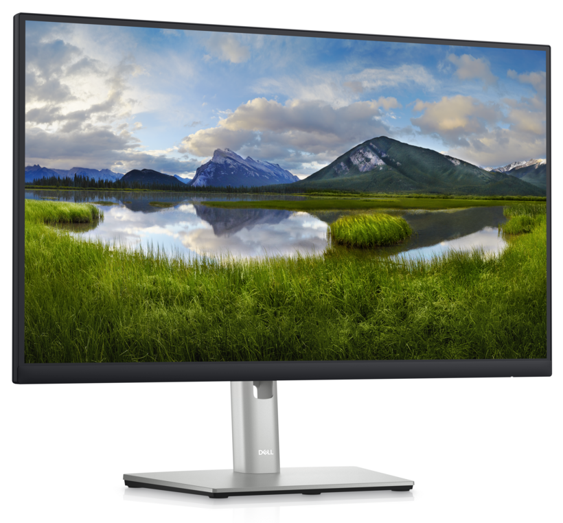 Dell P2423D - Monitor LED - 24" - 2560 x 1440 QHD @ 60 Hz - IPS - 300 cd/m² - 1000:1 - 5 ms - HDMI, DisplayPort - Cumple con TAA - con 3 años de garantía básica de intercambio avanzado