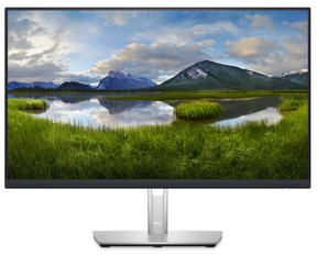 Dell P2423D - Monitor LED - 24" - 2560 x 1440 QHD @ 60 Hz - IPS - 300 cd/m² - 1000:1 - 5 ms - HDMI, DisplayPort - Compatível com TAA - com 3 Anos de Garantia Básica Exchange Avançada