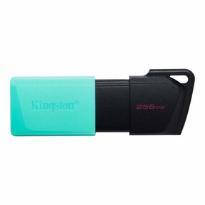 Kingston DataTraveler Exodia M - Drive flash USB - 256 GB - USB 3.2 Gen 1