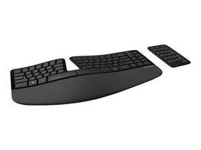 Microsoft Sculpt Ergonomic Keyboard For Business - Conjunto de teclado - sem fios - 2.4 GHz - Inglês