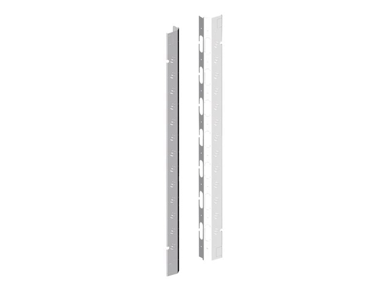 Schneider Actassi - Panel de entrada de cables para estantes - Gris, RAL 7011 - 42U - 19" (paquete de 2) (NSYPV42)