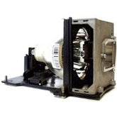 GO Lamps - Lámpara de proyector (equivalente a: DX5300) - UHP - 250 Watt - 2000 hora(s)